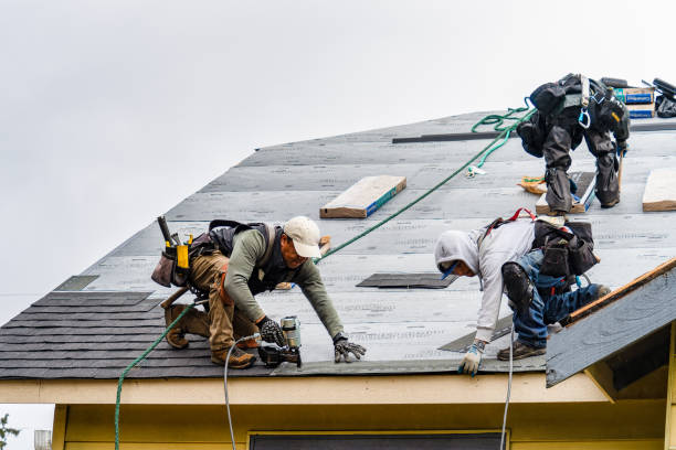 Professional Gutter Installation technician working in Sumner, IL